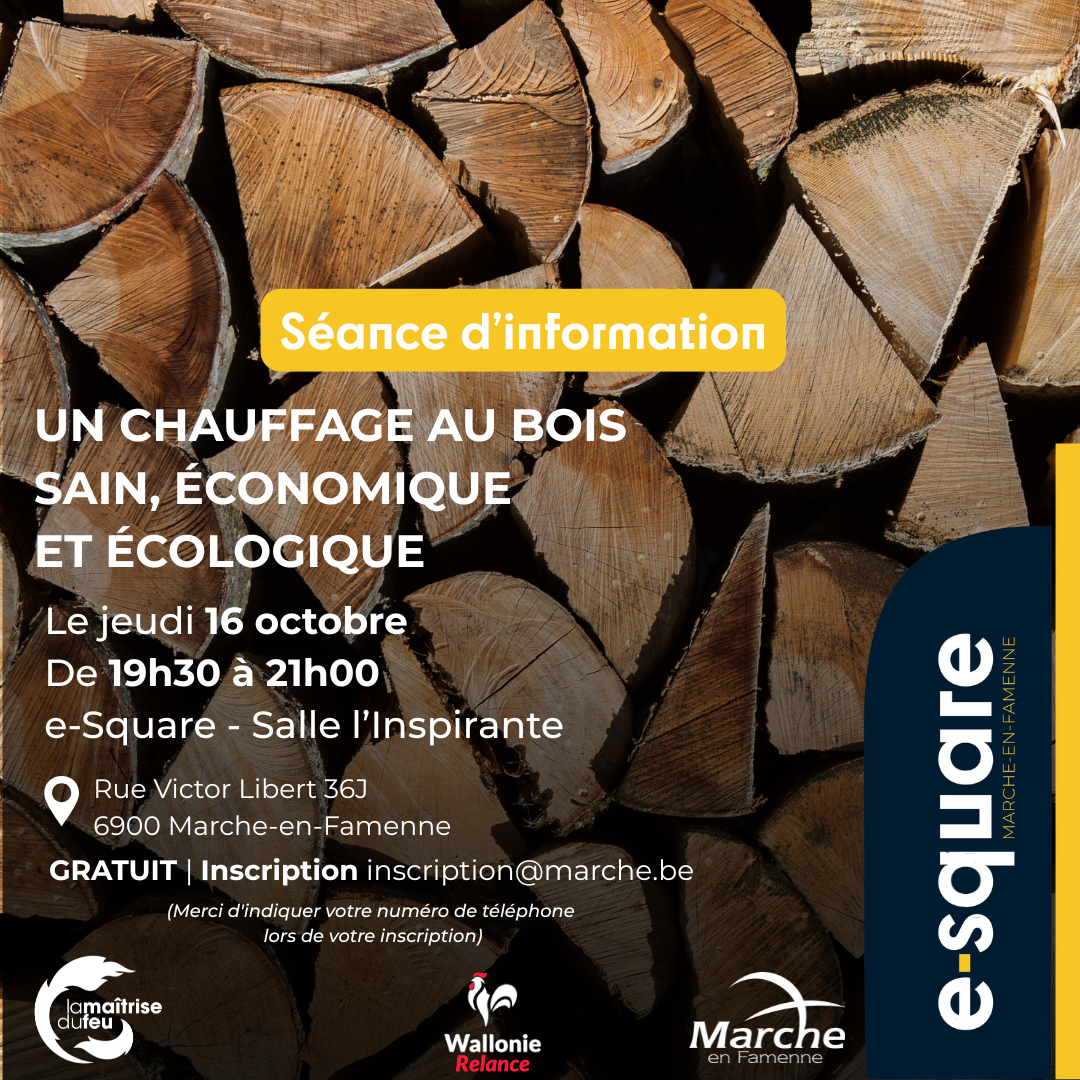 Séance d&rsquo;information – Un chauffage au bois sain, économique et écologique